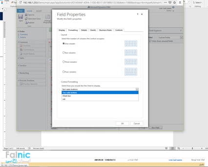 انواع فیلدها در Dynamics CRM انواع فیلدها در Dynamics CRM