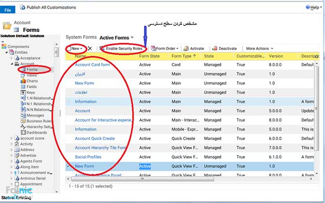 سفارشی سازی موجودیت ها در CRM
