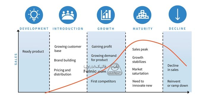 مراحل و چرخه عمر محصول در بازار